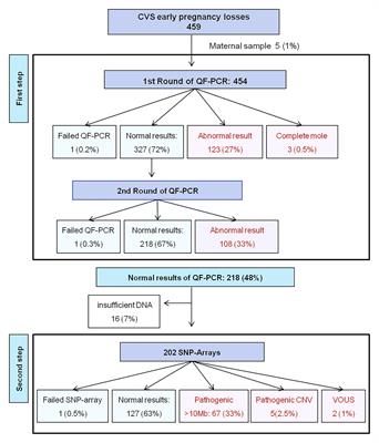 A New Stepwise Molecular Work-Up After Chorionic Villi Sampling in Women With an Early Pregnancy Loss